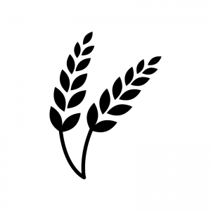 イベントのイメージ